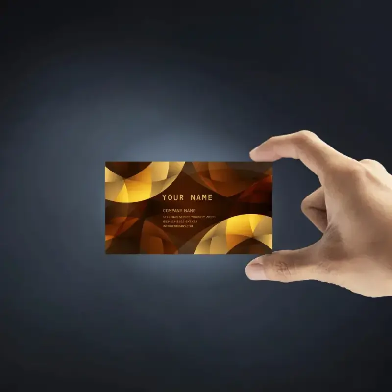 250 cartes de visite